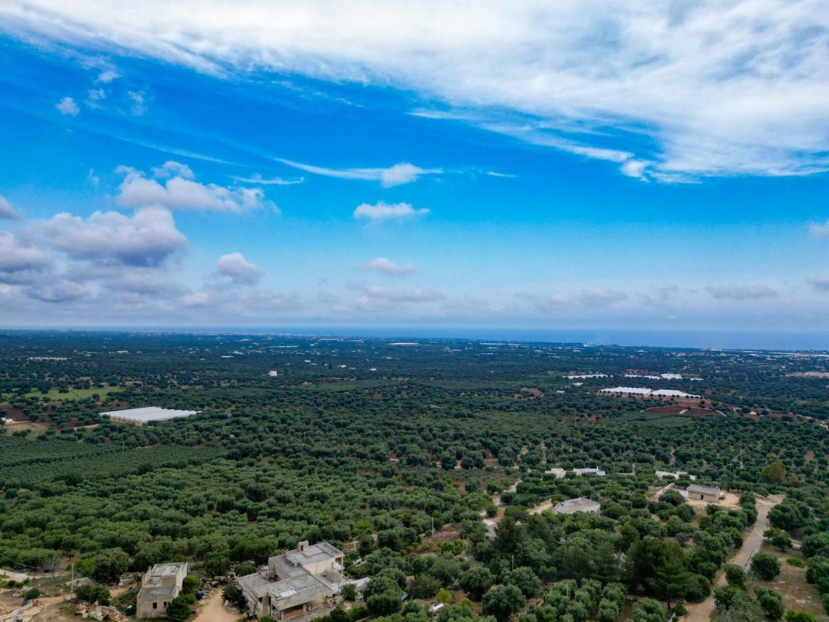 Hill Trull - Typical Apulian House Holiday home *
