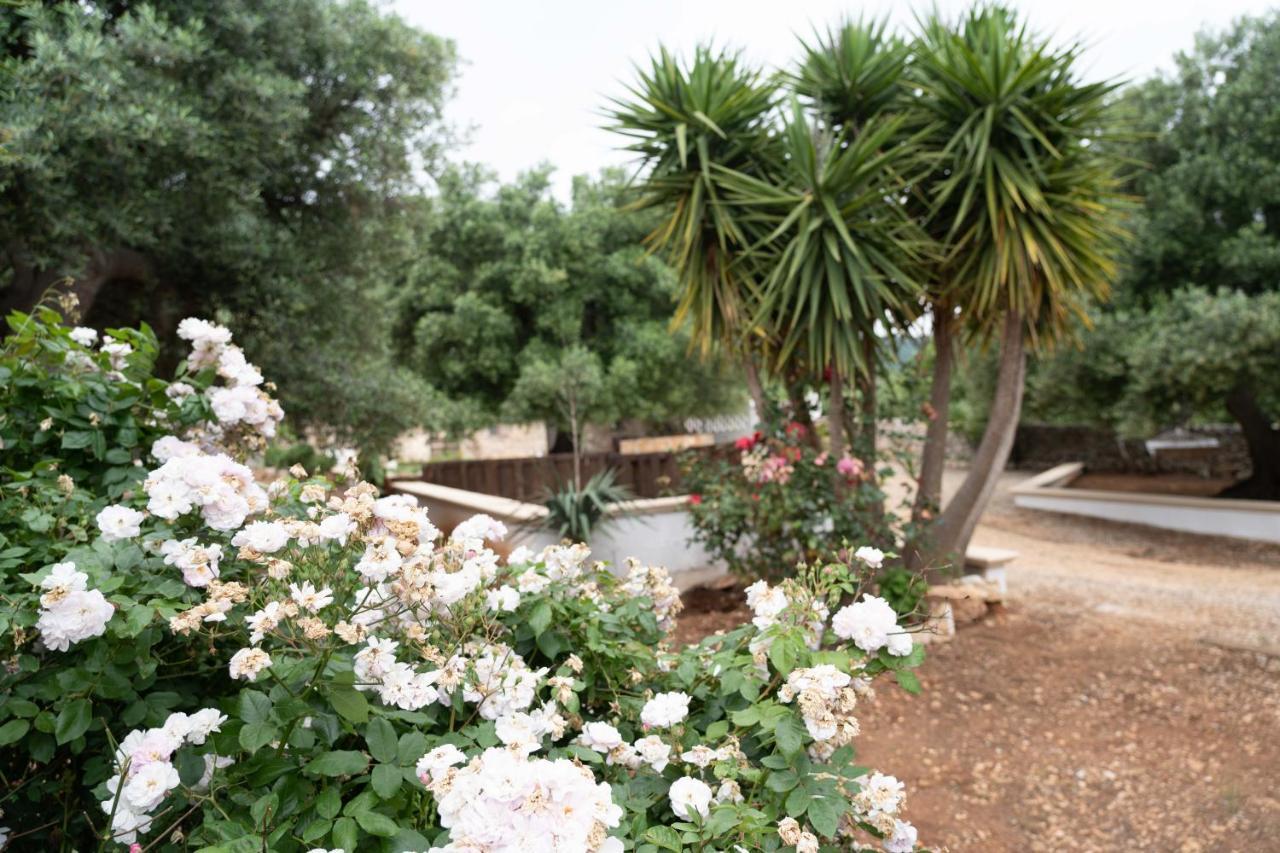 Hill Trull - Typical Apulian House *