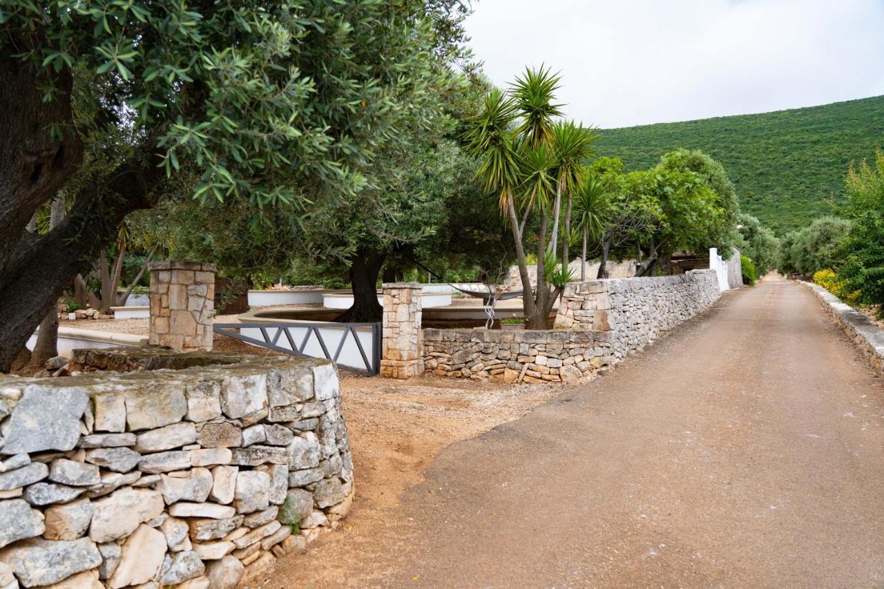 Hill Trull - Typical Apulian House Holiday home