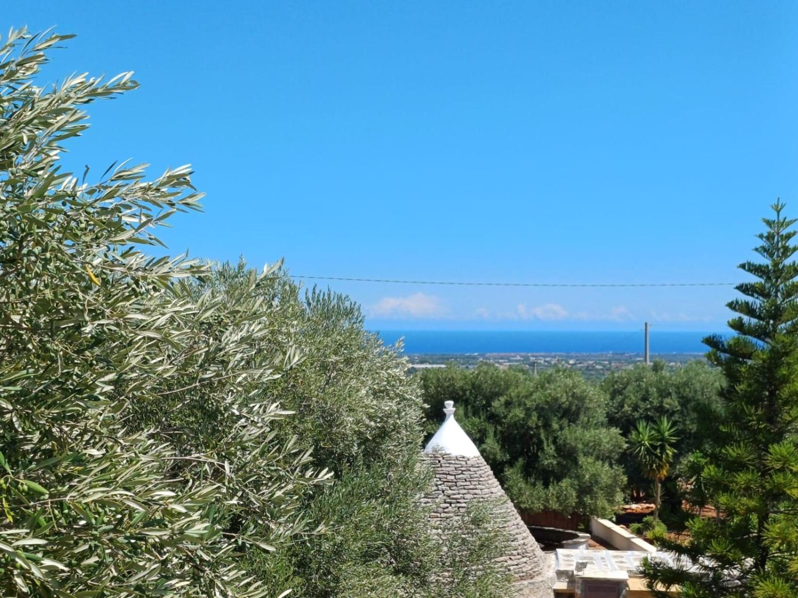 Hill Trull - Typical Apulian House Holiday home Monopoli