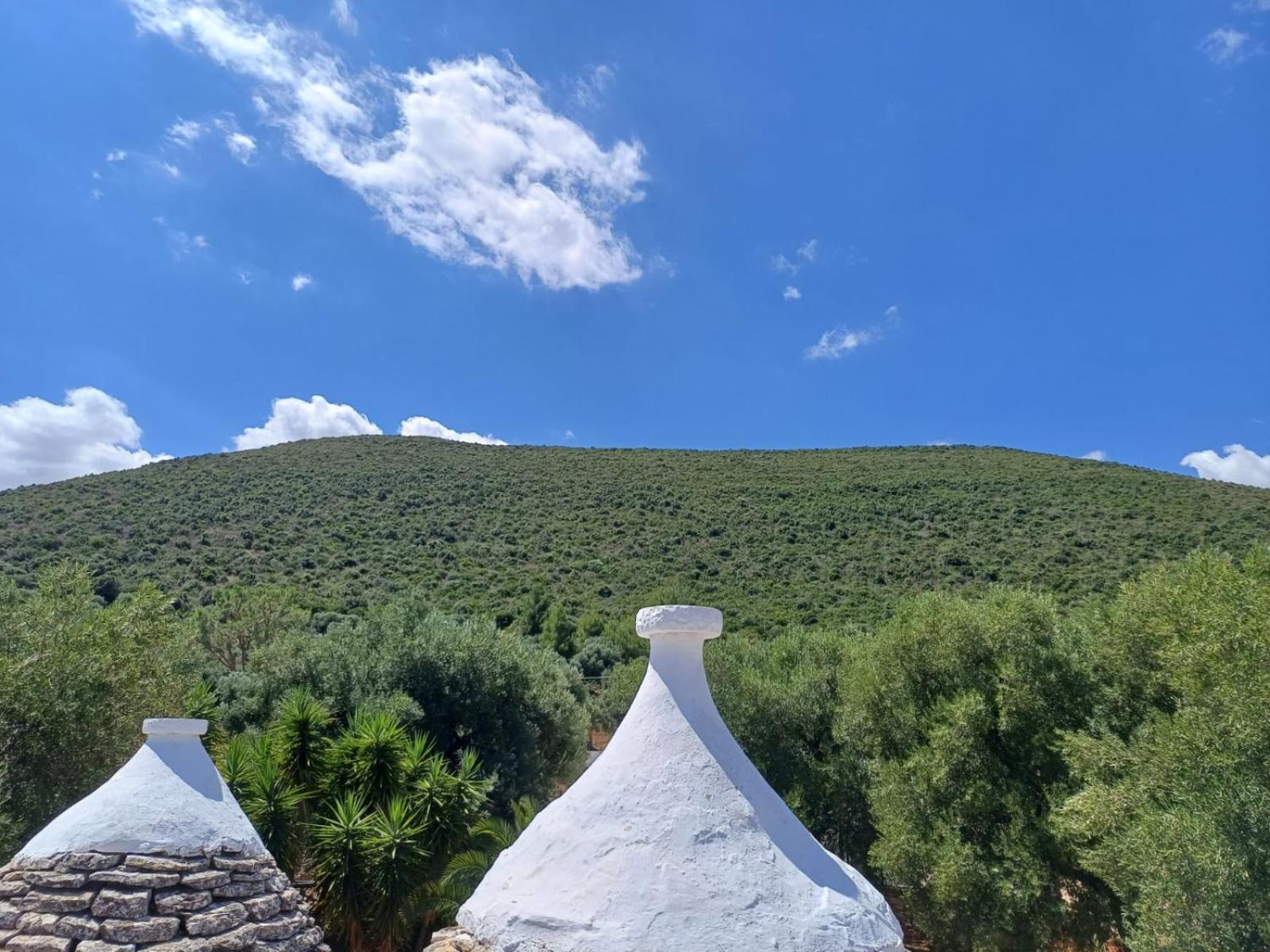 Hill Trull - Typical Apulian House Monopoli