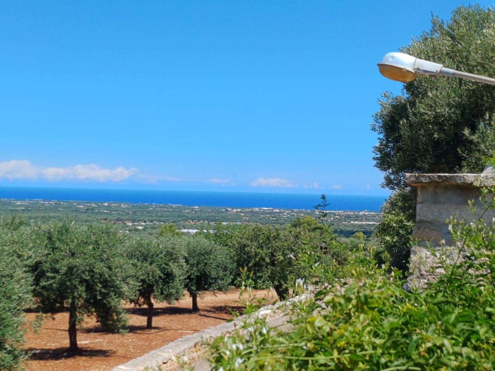Holiday home Hill Trull - Typical Apulian House *
